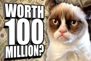 sugar baby allowance